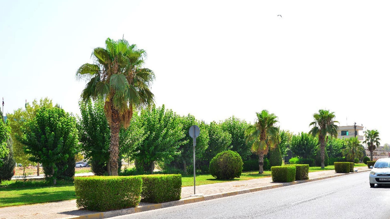 مشروع المياه الطارئة بأربيل يعزز المساحات الخضراء ويقلل الاعتماد على الآبار