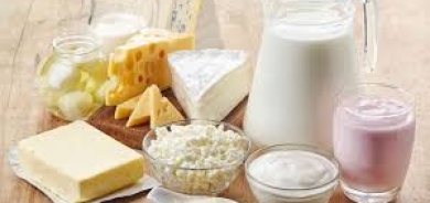 الجبن القريش أم الزبادي اليوناني: أيهما أفضل كوجبة خفيفة؟