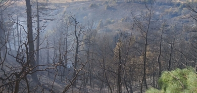 Tirkiyeyê bîlançoya şewatan eşkere kir