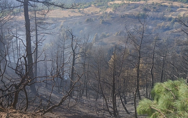 Tirkiyeyê bîlançoya şewatan eşkere kir