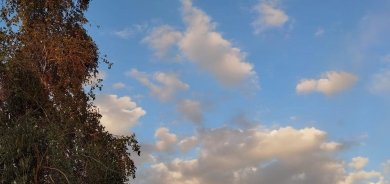 Keşnasiya Kurdistanê: Pileyên germê dadikevin