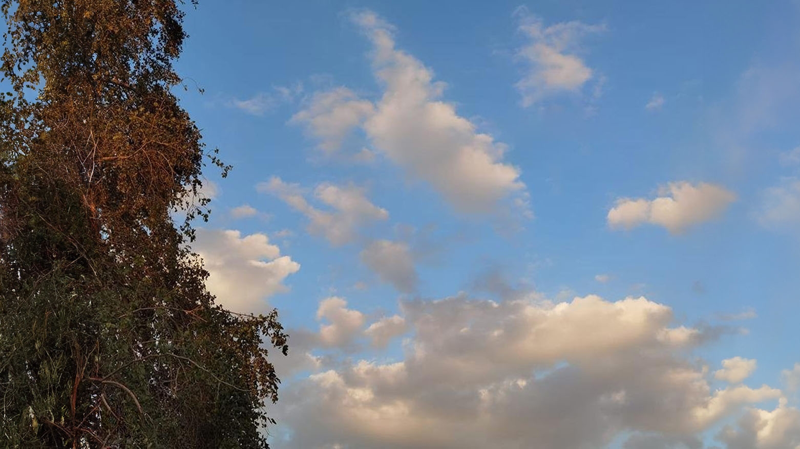 Keşnasiya Kurdistanê: Pileyên germê dadikevin