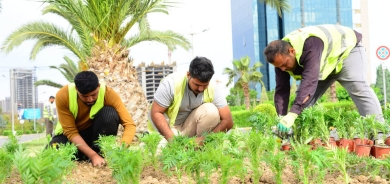 نسبة المساحات الخضراء في أربيل تقترب من الـ 20 بالمئة