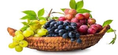 أكثر من مجرّد طعم لذيذ... العنب يُعزّز المناعة ويقاوم الأمراض