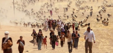 Kîjan welat û saziyan Komkujiya Kurdên Êzidî nas kiriye?