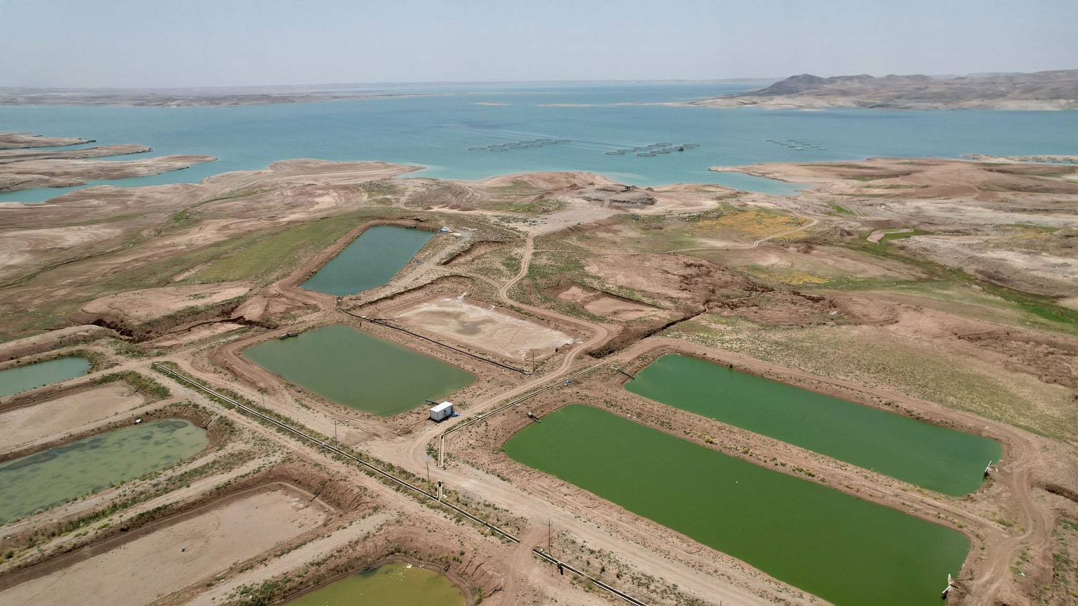 مشروع روناكي يعزز استدامة تربية الأسماك ويزيد الإنتاج في كوردستان