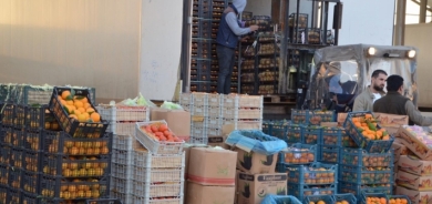 أربيل تُصدّر 3 آلاف طن من الفواكه والخضراوات يوميًا الى أسواق وسط وجنوب العراق