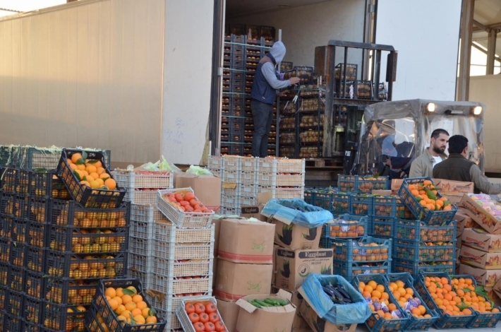 أربيل تُصدّر 3 آلاف طن من الفواكه والخضراوات يوميًا الى أسواق وسط وجنوب العراق