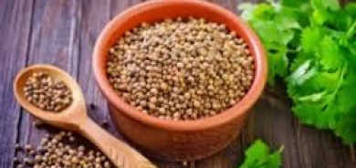 الكزبرة أم الكزبرة الخضراء... أيتهما تحتوي على فيتامينات وعناصر غذائية أكثر؟