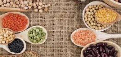 7 أطعمة غنية بالبروتين بعيداً عن اللحوم والأسماك