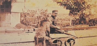 هێڵی ئاسنین