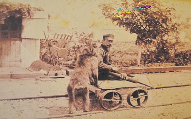 هێڵی ئاسنین