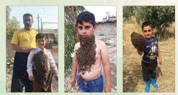 Mêşvanek bi hezaran mêşan li ser laşê zarokên xwe datîne û bi wan navede