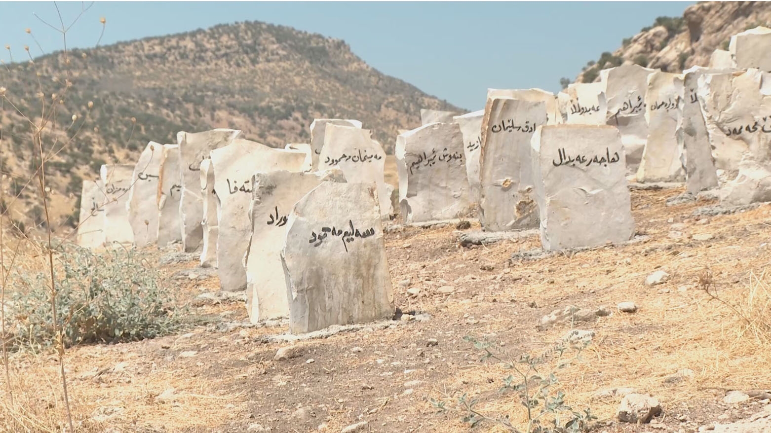 56 sal di ser Komkujiya Şikefta Dekanê re derbas dibin