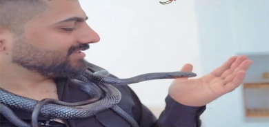 ڕاوچیی مار و  گیاندارە خشۆكەكان