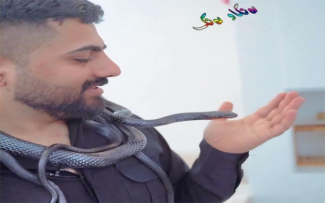 ڕاوچیی مار و  گیاندارە خشۆكەكان