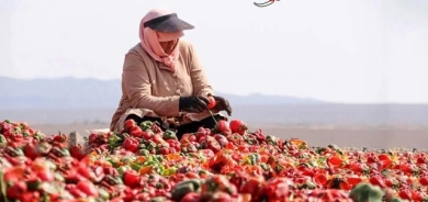 پایتەختی بیبەر