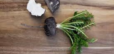 تعاني التعب والإرهاق؟ اكتشف فوائد عشبة الماكا