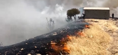 Agirê Helebceyê li dû xwe karesat hişt: 2 şehîd û 5 hezar donim bûn xwelî