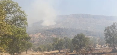 كرمانشاه.. غابات زاگروس الكوردية في إيران تحترق بـ