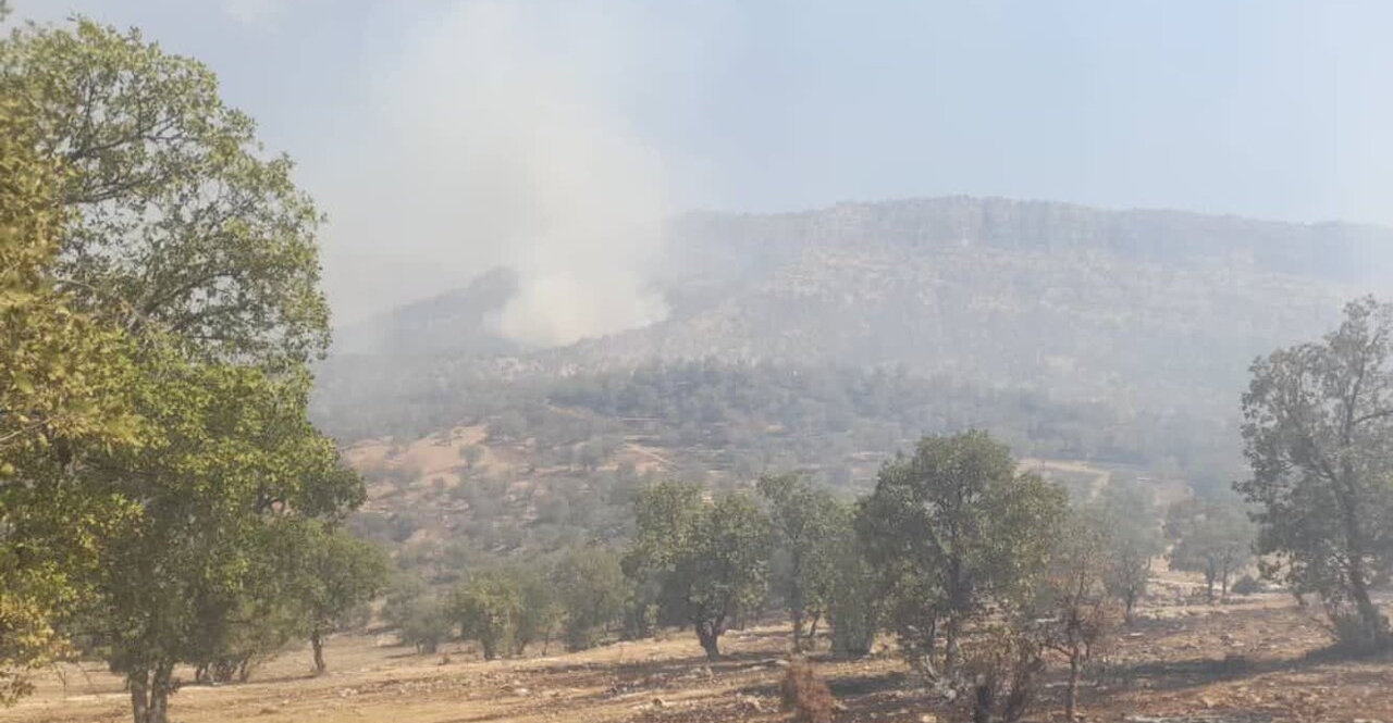 كرمانشاه.. غابات زاگروس الكوردية في إيران تحترق بـ
