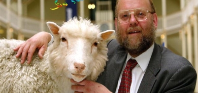 دۆڵی مەڕی كلۆنكراو