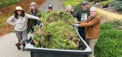 5 أنشطة يومية تحمي من ألزهايمر