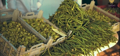 Halabja Launches Weekly Farmers' Market to Boost Local Agriculture