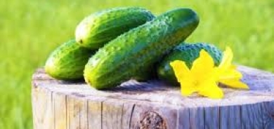 من البشرة إلى الأمعاء... ما أبرز فوائد ماء الخيار؟