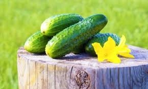 من البشرة إلى الأمعاء... ما أبرز فوائد ماء الخيار؟