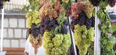 Ji bo nasandina berhemên xwemalî, Festîvala Tirî Rewandiz li hat lidarxistin