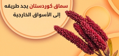 (آكري- عقرة) تستعد لتصدير 45 طناً من السماق إلى تركيا