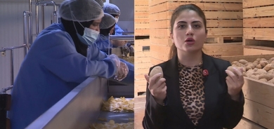 معمل لرقائق البطاطا في أربيل يصدر إنتاجه الى دول عربية