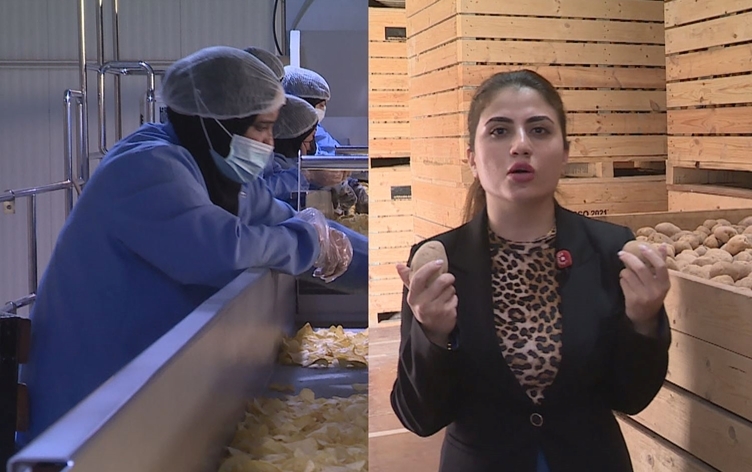 معمل لرقائق البطاطا في أربيل يصدر إنتاجه الى دول عربية