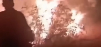 حريق كبير في حقول وأحراش قرية شركاني