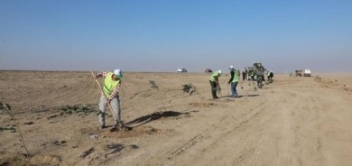 Iraq Loses One Million Trees in Two Years as Climate Crisis Bites
