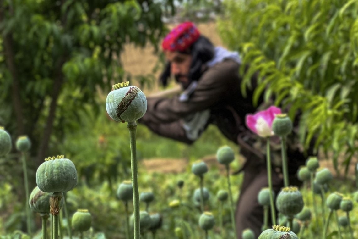 ئەمریکا: ئەفغانستان و کۆڵۆمبیا لە شەڕی دژی ماددە هۆشبەرەکاندا شکستیان هێناوە