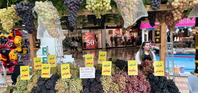 Festîvala Tirî û Hingivînê li Dihokê: Ji cûreyên kêmdîtî heta tabloya ji mêwîjan