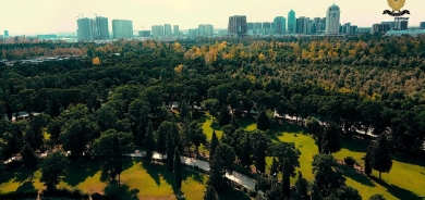 Turning Erbil Green: A Citywide Belt of 7 Million Trees