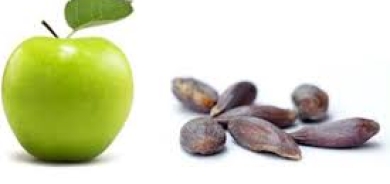 هل بذور التفاح سامة؟ إليكم 5 مخاطر صحية