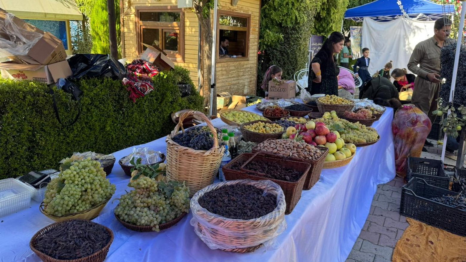 Gera Sêyê ya Festîvala Berhemên Çandiniyê li Soranê hat destpêkirin