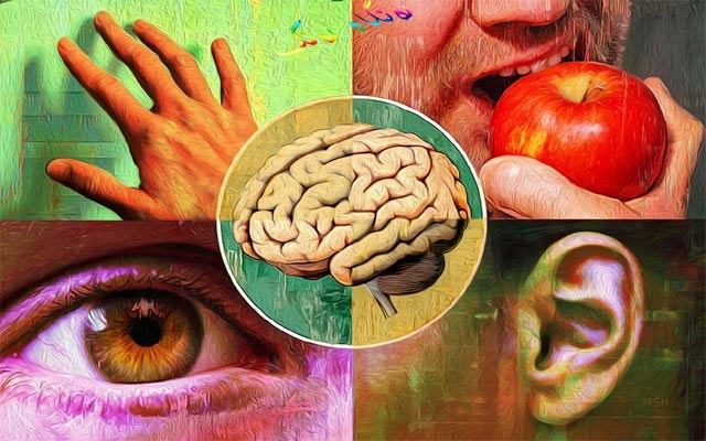 بۆ زانیاریت، كاریگەری لاوەكی لەسەر مێشك