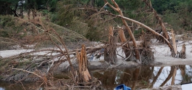 بەهۆی لافاو لە ویلایەتی ئاریزۆنا لە ئەمریکا، ٤ کەس گیانیان لەدەستدا