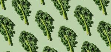 الكالي مقابل السبانخ: أيهما أكثر فائدة غذائية؟