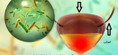 ما أسباب التهابات المسالك البولية؟