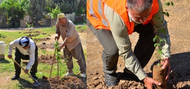 أربيل تقترب من المعايير العالمية في المساحات الخضراء