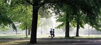 كيف تحسّن الأشجار من حياتنا؟