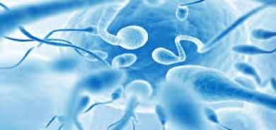 اكتشاف جديد لعلاج العقم عند الرجال