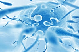 اكتشاف جديد لعلاج العقم عند الرجال