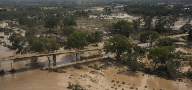 Li Meksîkayê lehî, hejmara miriyan derket 64an